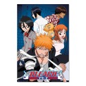 POSTER BLEACH