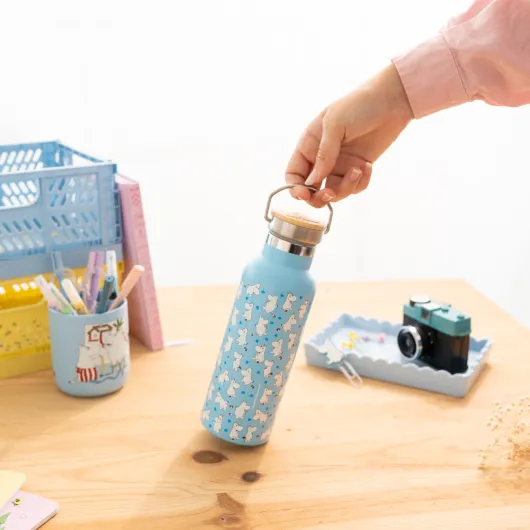 BOTELLA METALICA CON ASA MOOMIN