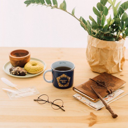 TAZA PREMIUM HARRY POTTER CHOCOLATE FROG
