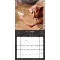 CALENDARIO 2027 30X30 HARRY POTTER PELICULAS
