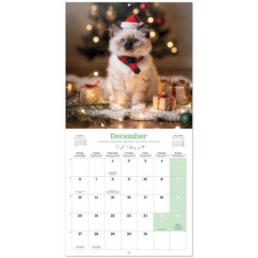 CALENDARIO 2027 30X30 GATITOS