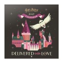 CALENDARIO 2027 30X30 HARRY POTTER