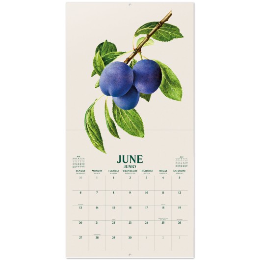CALENDAR 2027 30X30 BOTANY FRUITS US