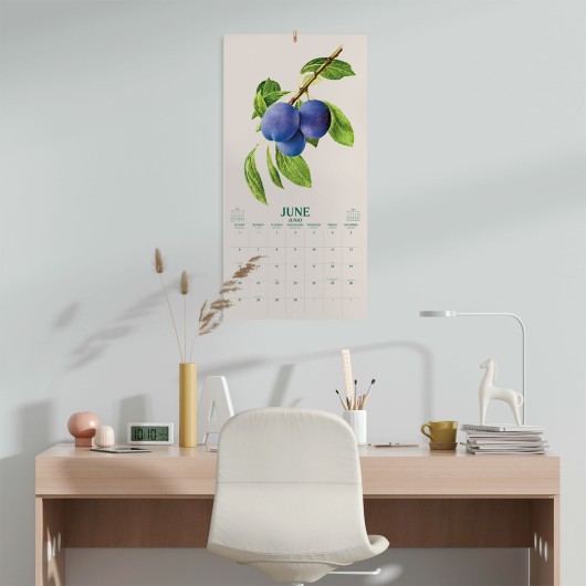 CALENDAR 2027 30X30 BOTANY FRUITS US
