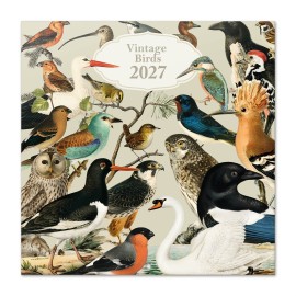 CALENDAR 2027 30X30 VINTAGE BIRDS US