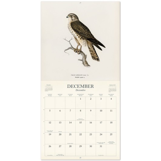 CALENDAR 2027 30X30 VINTAGE BIRDS US