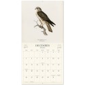 CALENDAR 2027 30X30 VINTAGE BIRDS US