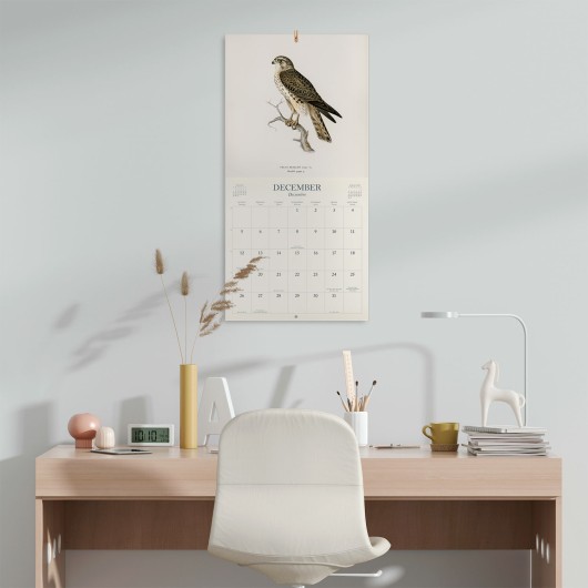 CALENDAR 2027 30X30 VINTAGE BIRDS US