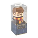 ESTUCHE 3D HARRY POTTER HARRY