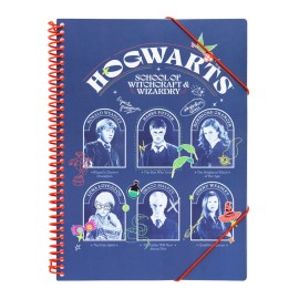 CARPETA DE FUNDAS A4 HARRY POTTER