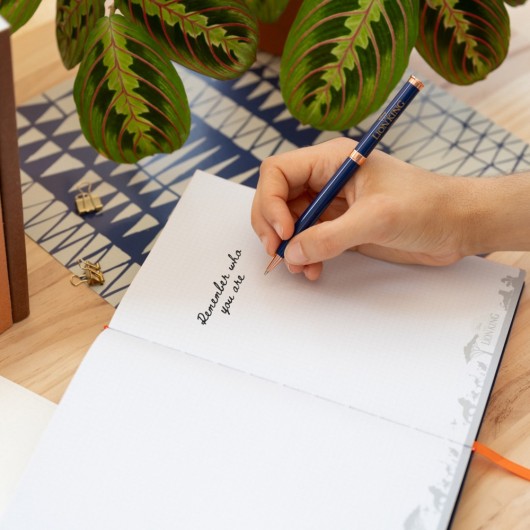 CUADERNO PREMIUM A5 CON BOLIGRAFO DISNEY LION KING