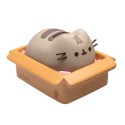 HUCHA PUSHEEN
