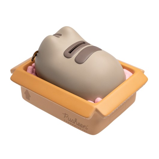 HUCHA PUSHEEN