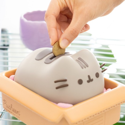 HUCHA PUSHEEN