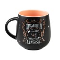 TAZA PREMIUM HARRY POTTER WINGARDIUM LEVIOSA