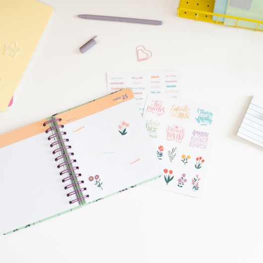AGENDA ESCOLAR 2026/2027 DIA PAGINA M 11 MESES AMELIE