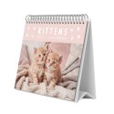 CALENDARIO DE ESCRITORIO 2027 GATITOS