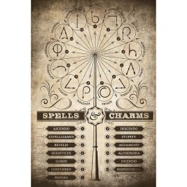 POSTER HARRY POTTER HECHIZOS Y ENCANTAMIENTOS