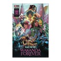 POSTER MARVEL BLACK PANTHER WAKANDA FOREVER COMIC