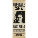 POSTER PUERTA HARRY POTTER UNDESIRABLE N§1