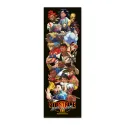POSTER PUERTA STREET FIGHTER