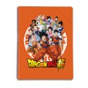 CARPETA DE FUNDAS A4 DRAGON BALL