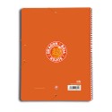 CARPETA DE FUNDAS A4 DRAGON BALL