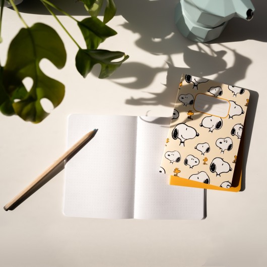 PACK 3 CARNETS A6 SNOOPY LAZY DAYS