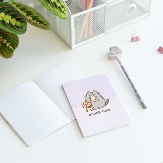 SET PAPETERIE PUSHEEN MOMENTS 