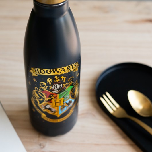 BOUTEILLE MÉTALLIQUE HOT&COLD 500ML HARRY POTTER POUDLARD