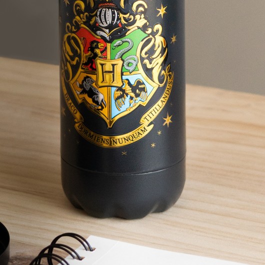 BOUTEILLE MÉTALLIQUE HOT&COLD 500ML HARRY POTTER POUDLARD