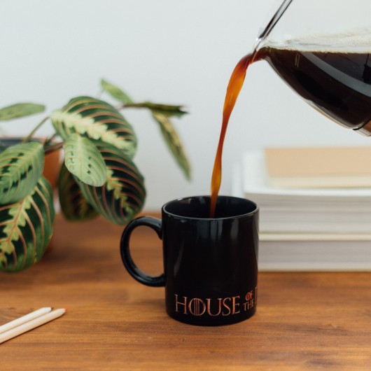 MUG THERMOREACTIF GAME OF THRONES HOUSE OF THE DRAGON
