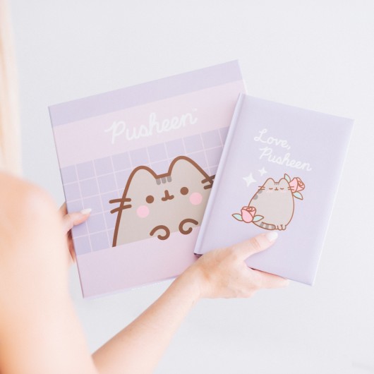 SET CARNET PREMIUM A5 AVEC STYLO PUSHEEN MOMENTS