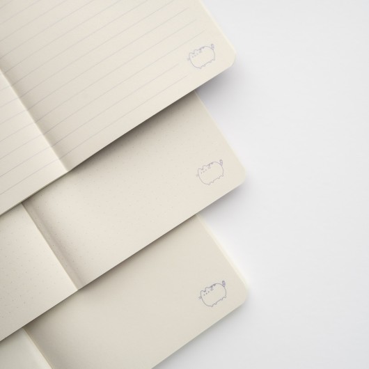 PACK 3 CARNETS A6 PUSHEEN MOMENTS