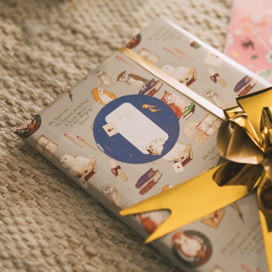 SET DE PAPIER CADEAU HARRY POTTER