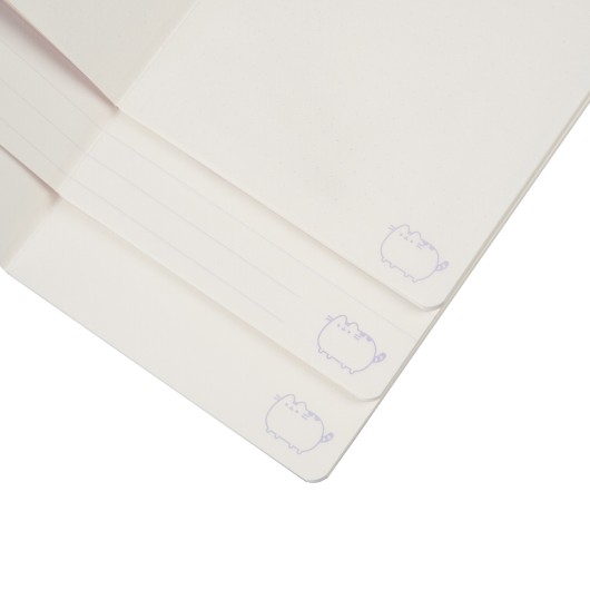 PACK 3 CARNETS A5 PUSHEEN MOMENTS