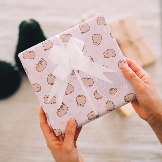 SET DE PAPIER CADEAU PUSHEEN