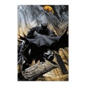 POSTER DC COMICS BATMAN GARGOUILLE