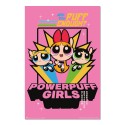 POSTER LES SUPERS NANAS