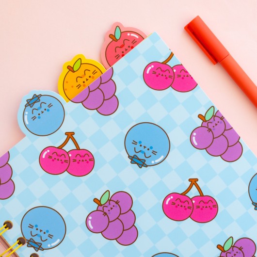 CAHIER DE PROJETS PUSHEEN FRUITS