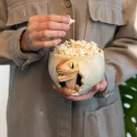 BOL 3D JURASSIC PARK