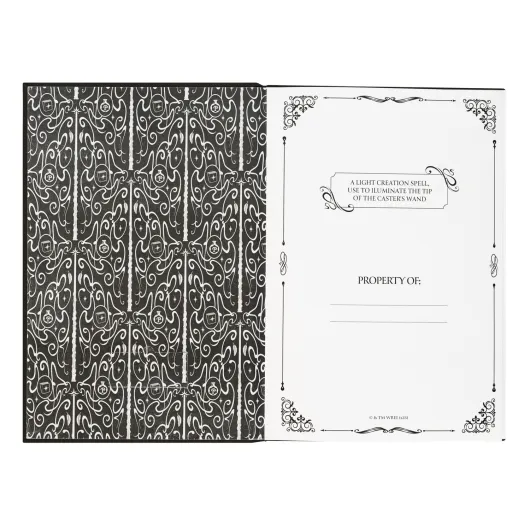 CARNET PREMIUM A5 AVEC LUMIERE HARRY POTTER LUMOS MAXIMA