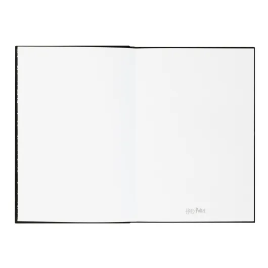 CARNET PREMIUM A5 AVEC LUMIERE HARRY POTTER LUMOS MAXIMA