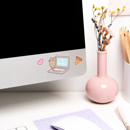 ÉTIQUETTES RÉUTILISABLES  PUSHEEN MOMENTS