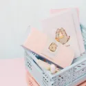 ETUI A LUNETTES PUSHEEN