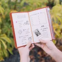 CARNET DE VOYAGE WICKED PARTIE 2  GLINDA