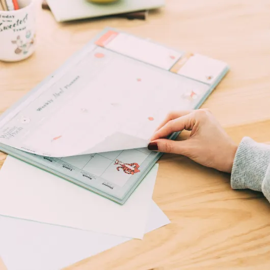 PLANIFICATEUR DE REPAS MAGNETIQUE DISNEY WINNIE L’OURSON 100E ANNIVERSAIRE
