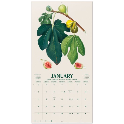 CALENDRIER 2027 30X30 BOTANICAL FRUITS