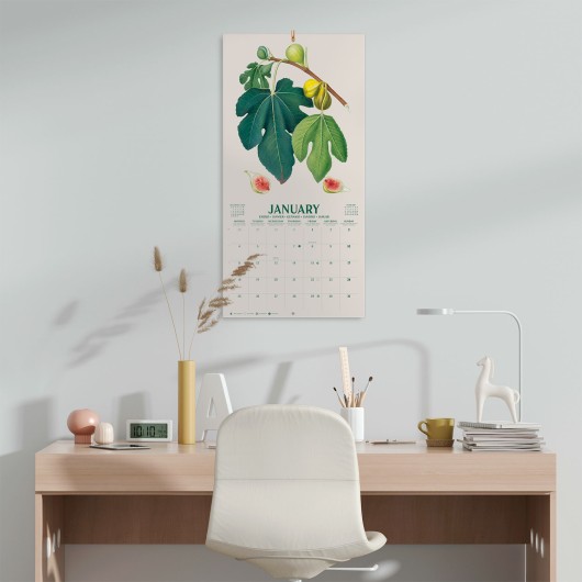 CALENDRIER 2027 30X30 BOTANICAL FRUITS