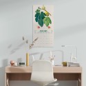 CALENDRIER 2027 30X30 BOTANICAL FRUITS